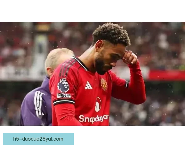 帕尔默曼联梦恩德里克期待升温